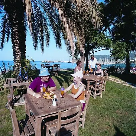 Mira Olimpos 2* קמר
